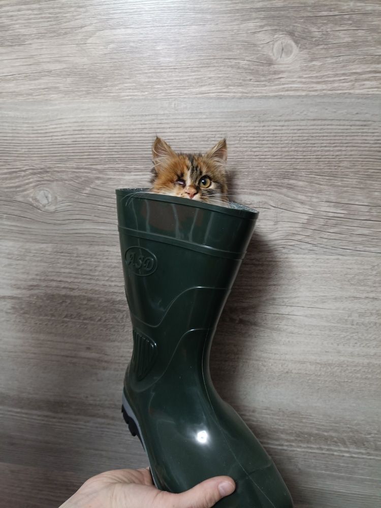 Photograph by Анастасия Никитюк