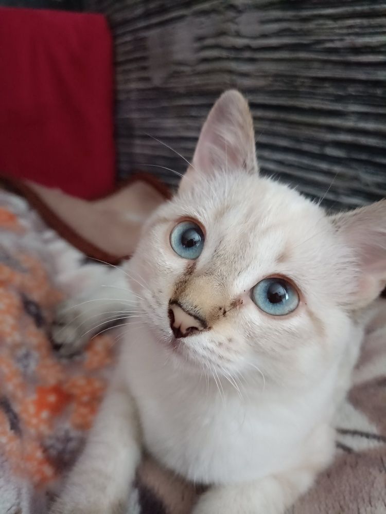 Photograph by Анастасия Никитюк