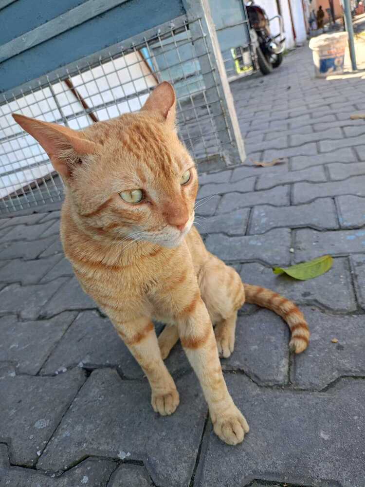 Photograph by BHUPENDRA LODHI