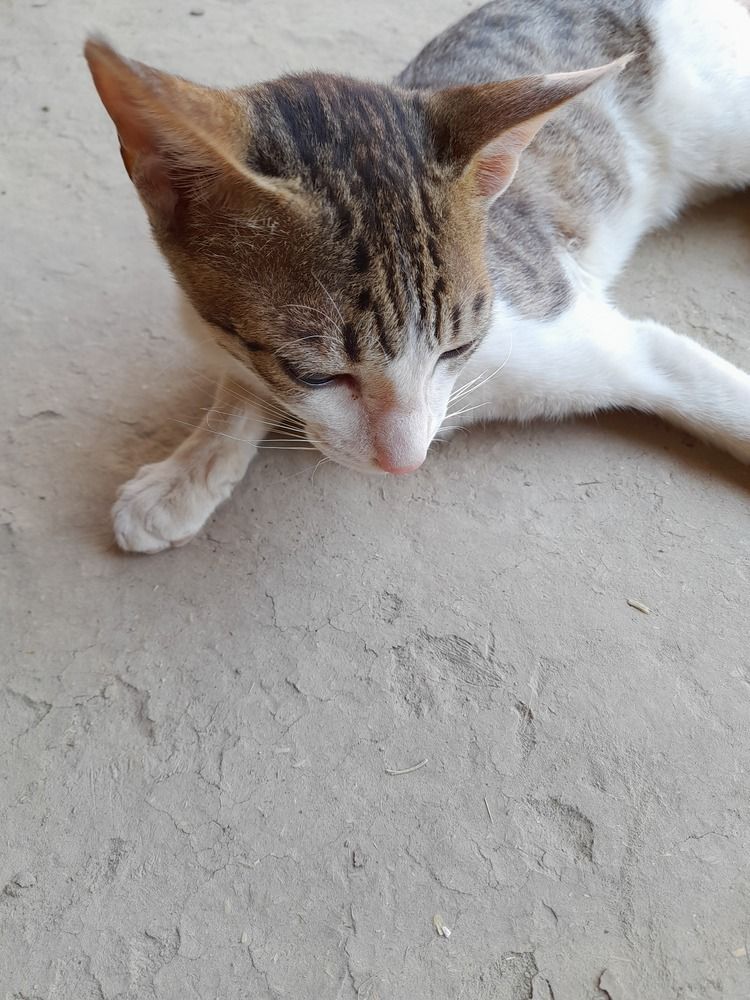 Photograph by BHUPENDRA LODHI