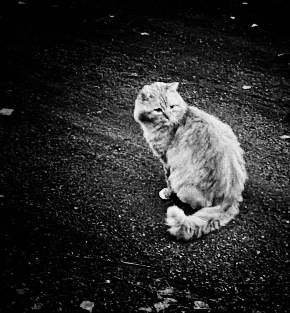 Photograph by Наталья Тарабычина