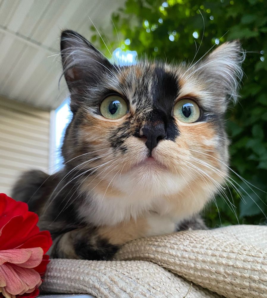 Photograph by Наталья Тарабычина