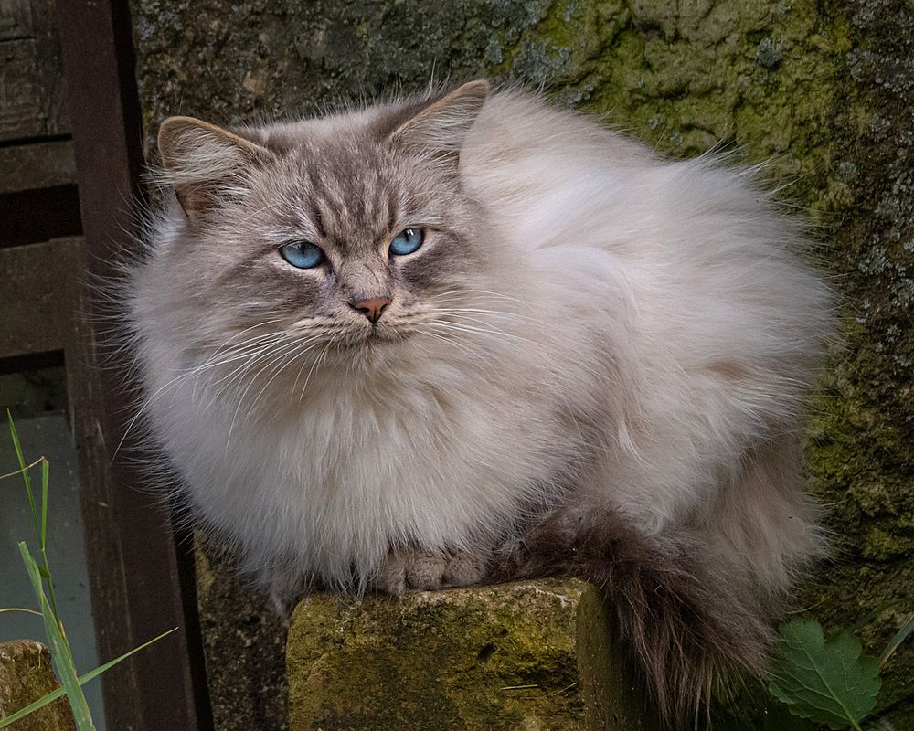 Photograph by Цветков Сергей