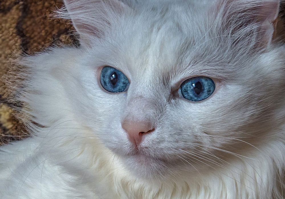 Photograph by Цветков Сергей