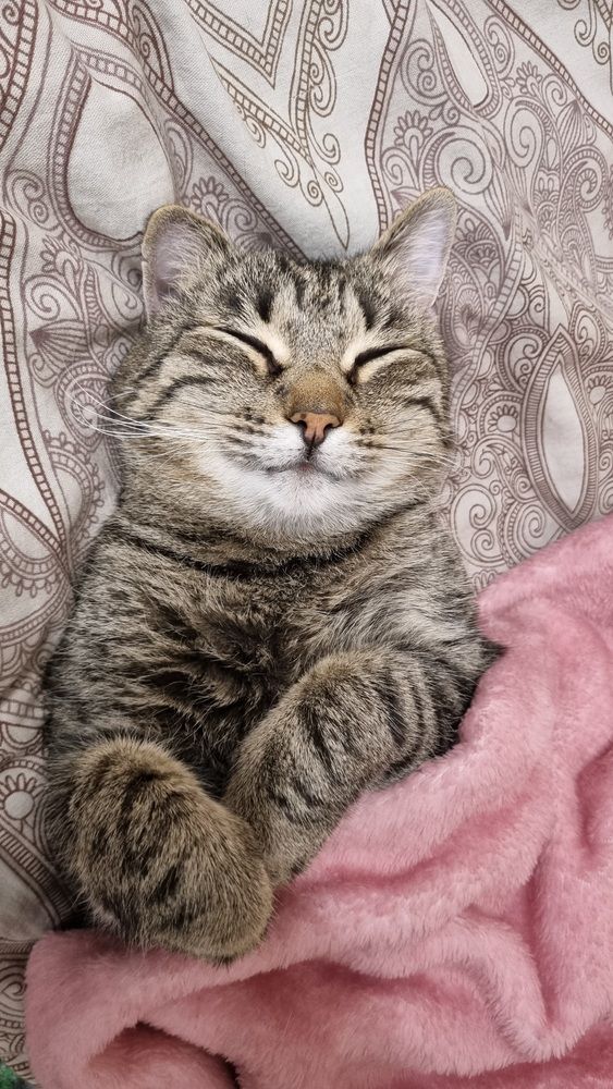 Photograph by Игорь Блинов