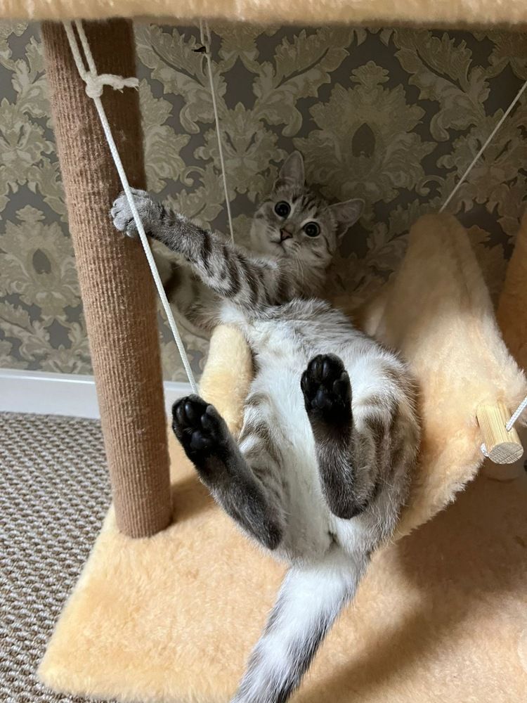 Photograph by Анна Закирова