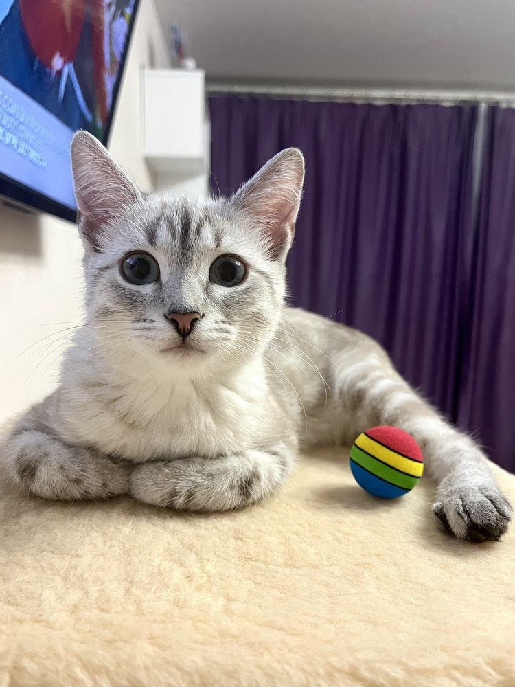 Photograph by Анна Закирова