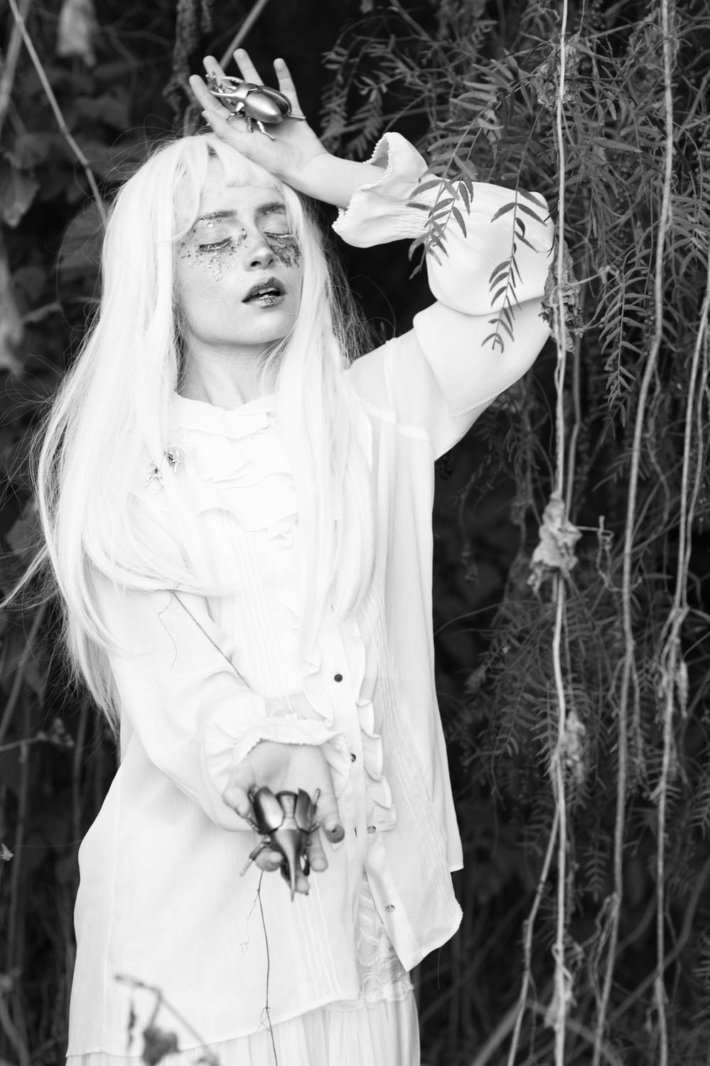 The Alchemist\'s Dream The Alchemist\'s Dream