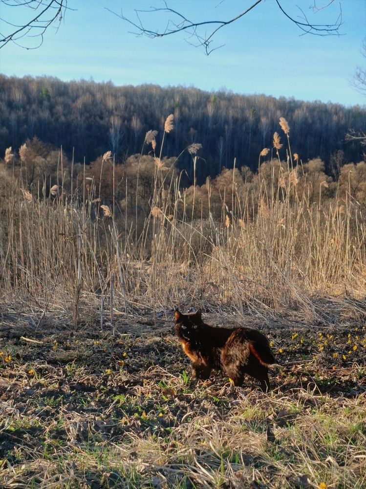 Photograph by Катерина Солдатова