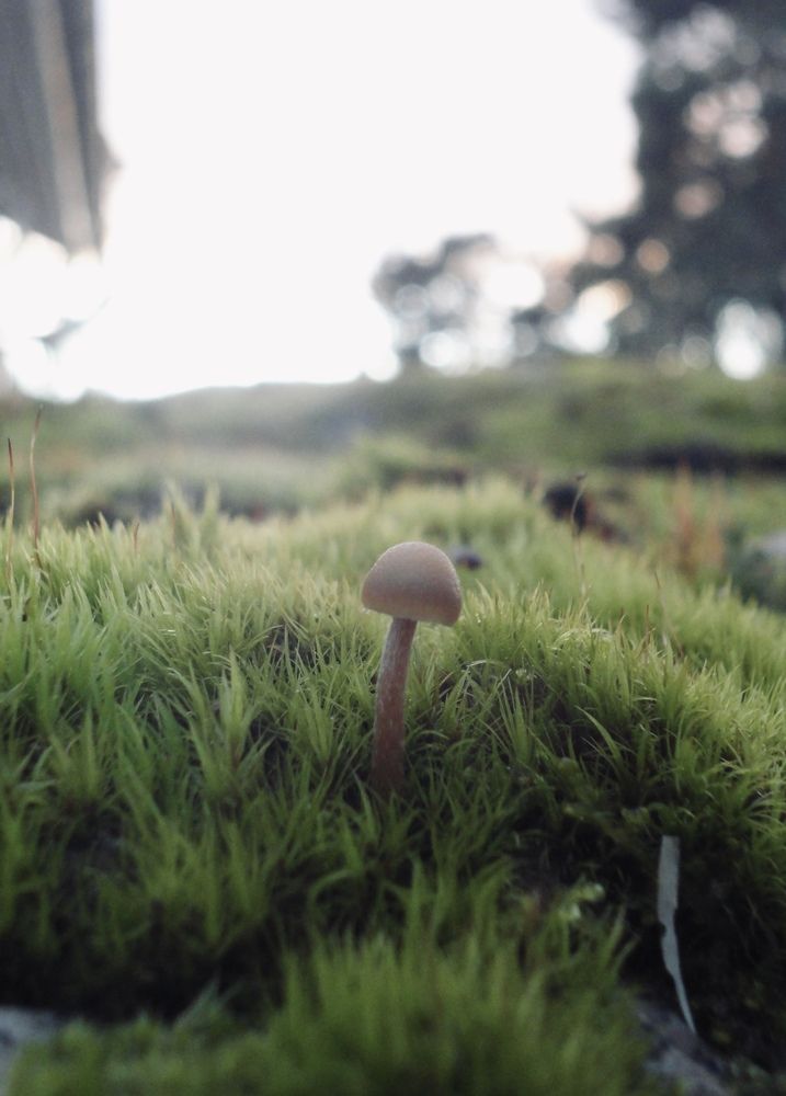 Photograph by Марьяна Пинчук