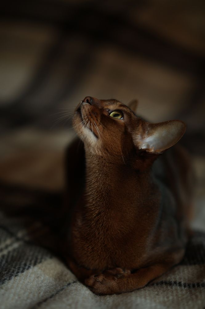 Photograph by Харламова Алина