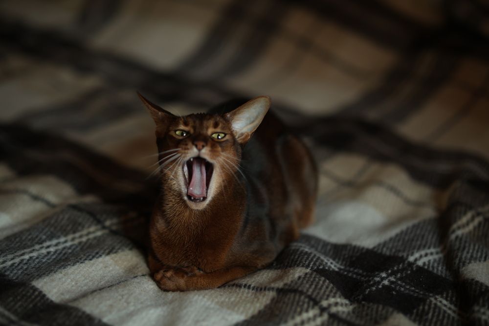 Photograph by Харламова Алина