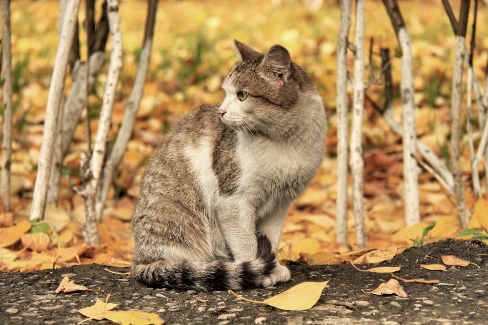 Photograph by Гагик Мхитарян