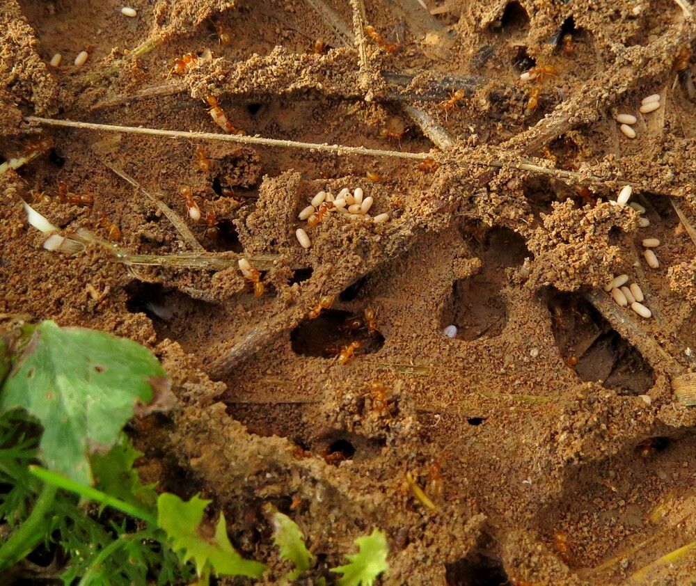 Photograph by Елена Казарина