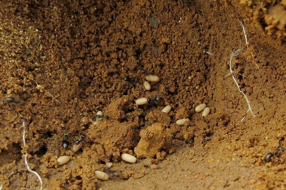 Photograph by Елена Казарина