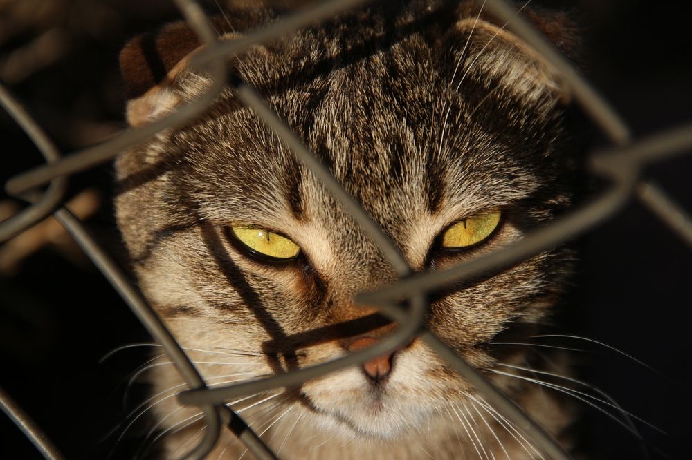 Photograph by Екатерина Филатова