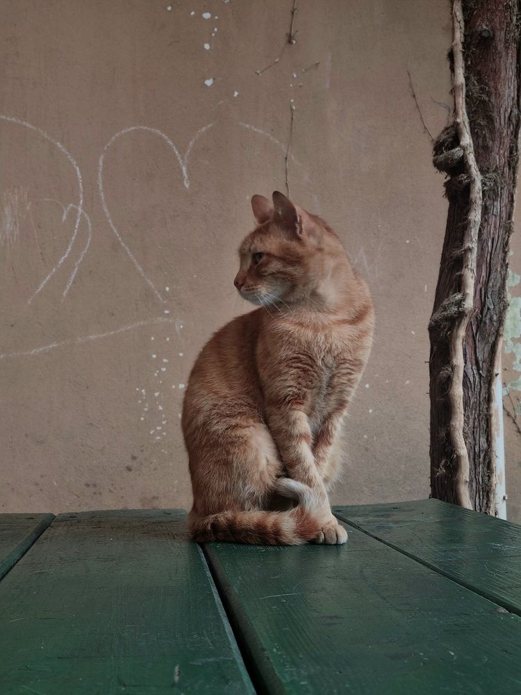 Photograph by Natasha