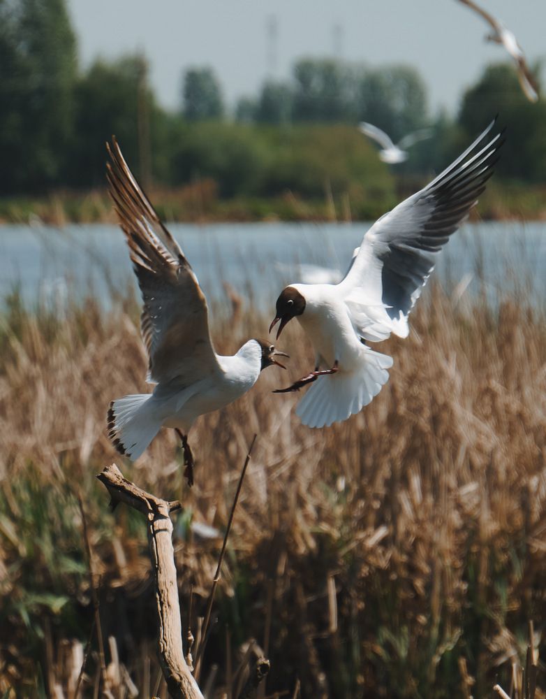 Photograph by Анастасия Журавлева