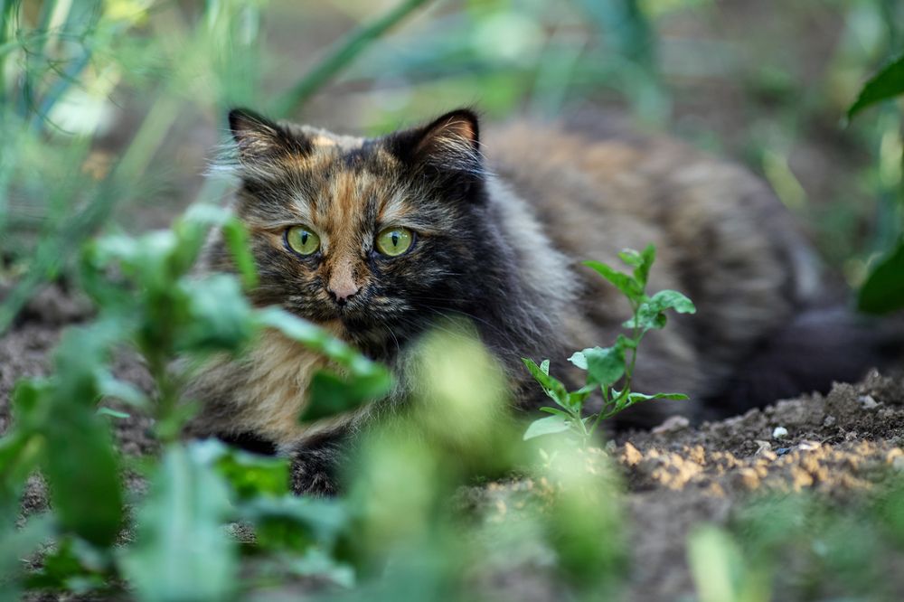 Photograph by Вербицкий Петр