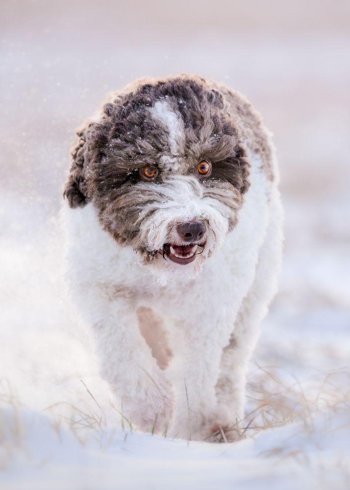 Photograph by Dmitry Ishniyazov