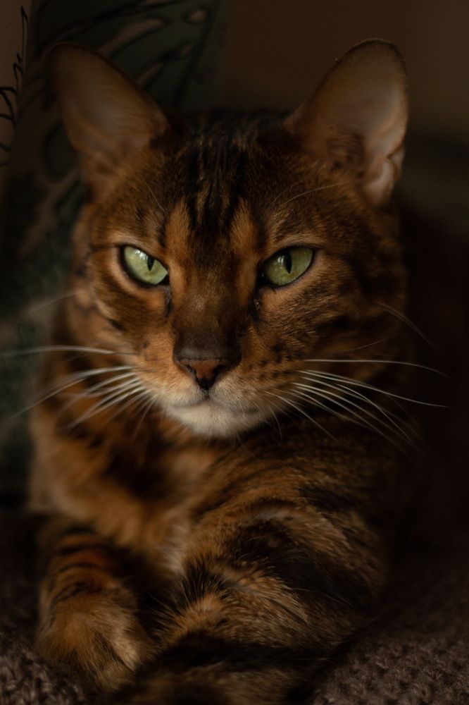 Photograph by Ирина Фотеева