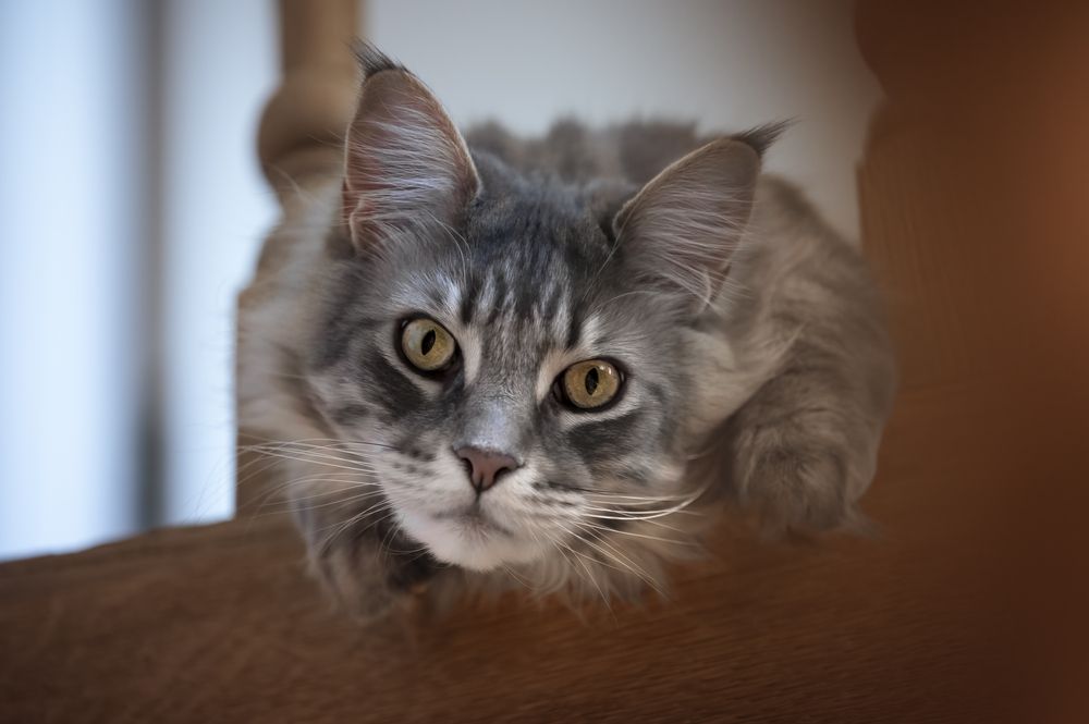 Photograph by Nathalie Soleil