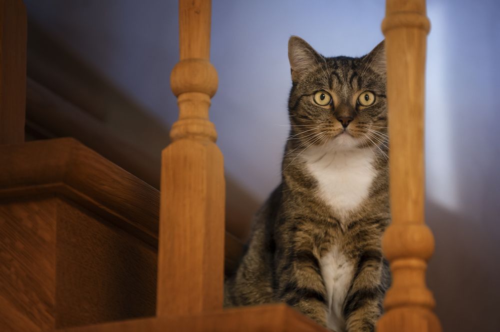 Photograph by Nathalie Soleil