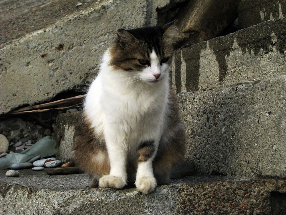 Photograph by Лада Кляузина