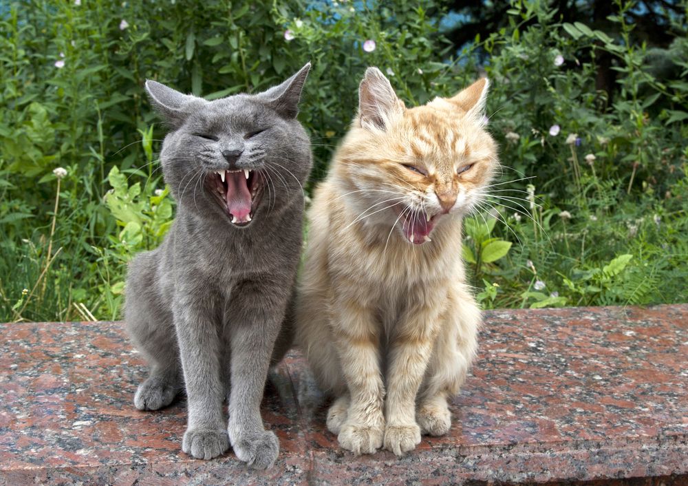 Photograph by Тамара Андреева