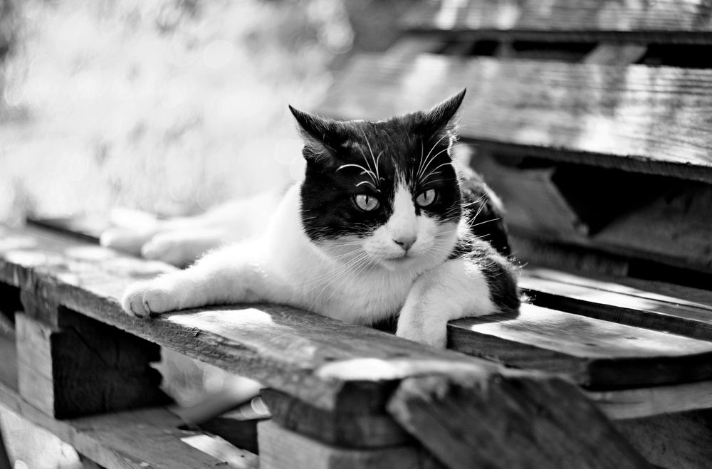 Photograph by Леонид Уральский