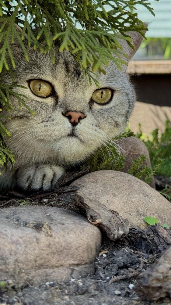 Photograph by Julia Grischenko