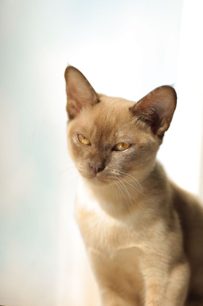 Photograph by Мария Мальцева