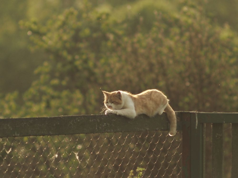 Photograph by Александра Шилова