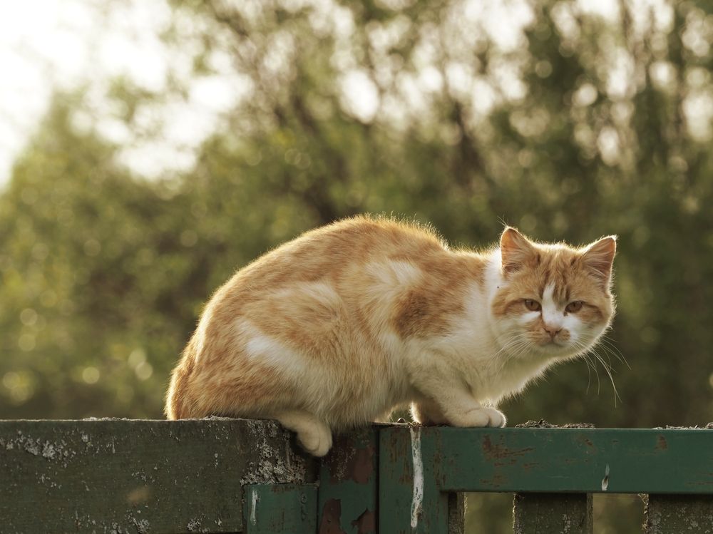 Photograph by Александра Шилова