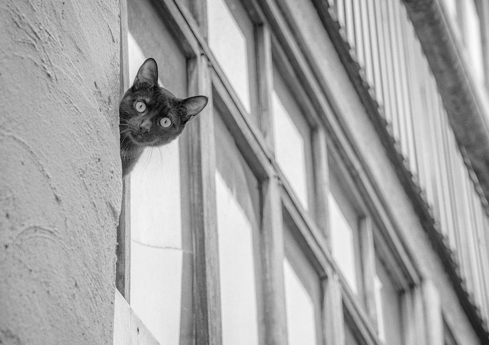 Photograph by Тамара Андреева