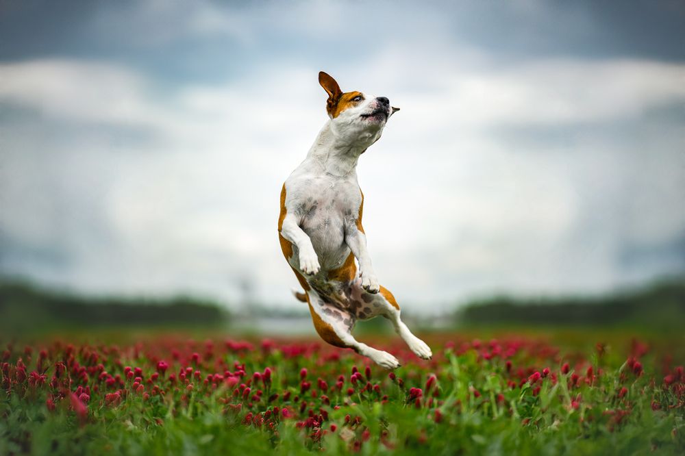 Photograph by Lucie Nermuťová