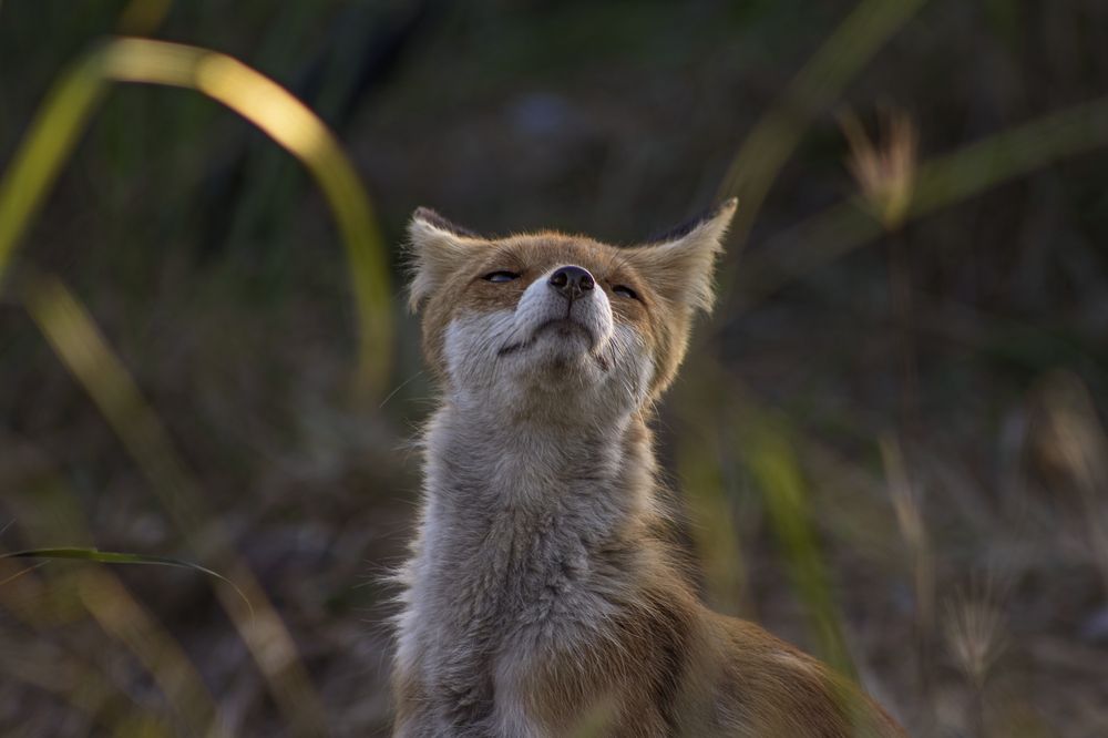 Photograph by Victoria Mogulyan