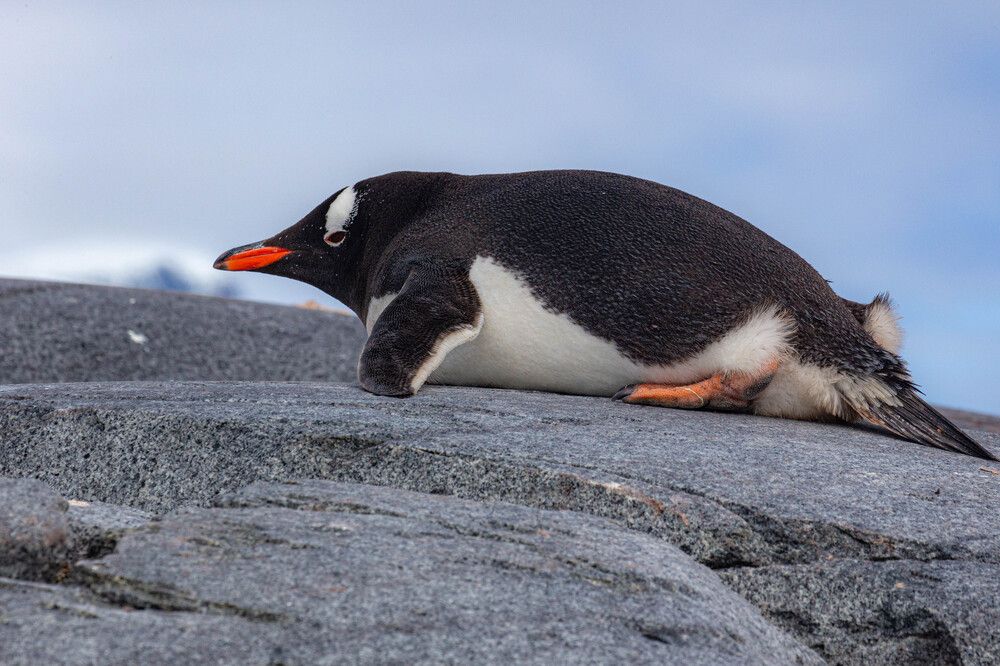 Photograph by Василий Писарев