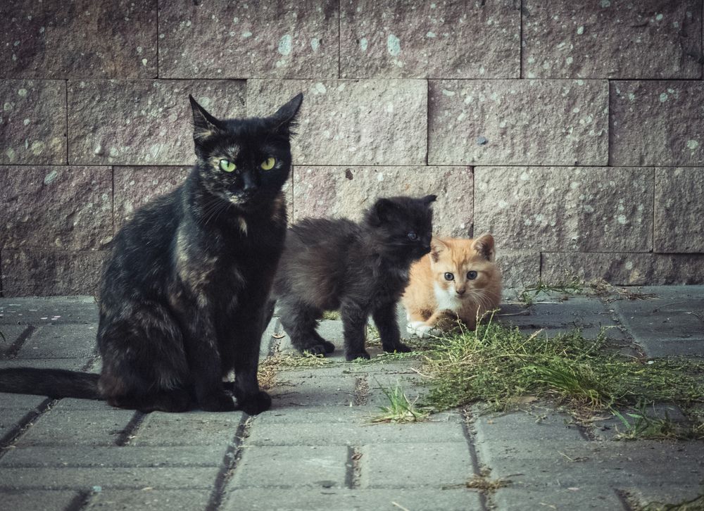 Photograph by Vitaliy