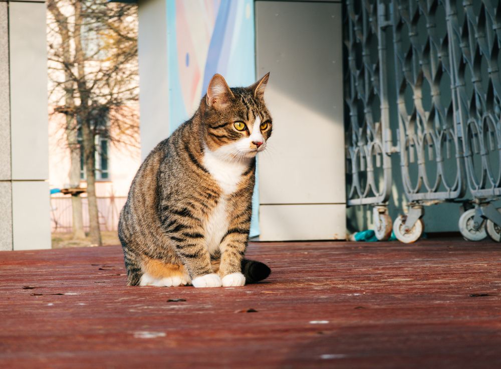 Photograph by Vitaliy