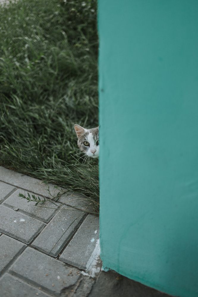 Photograph by Данис Вафин