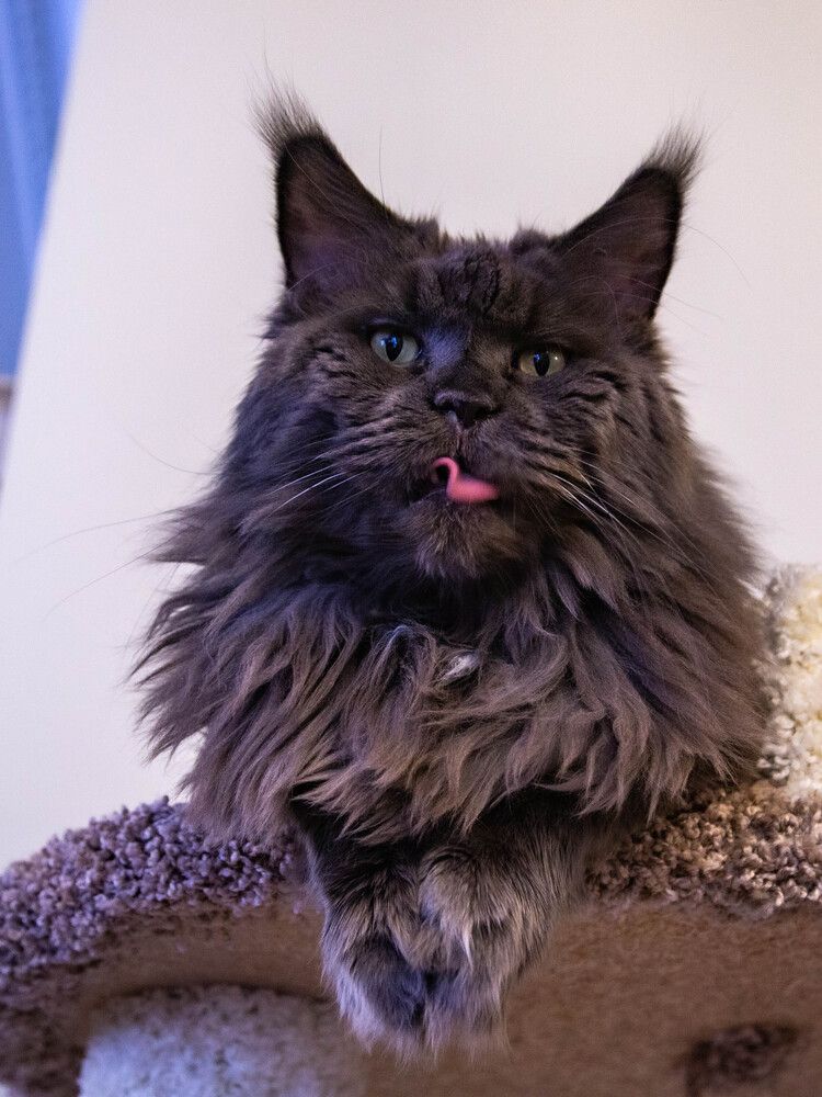 Photograph by Василий Писарев