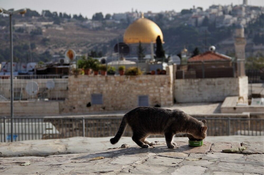 Photograph by Галина Гершман