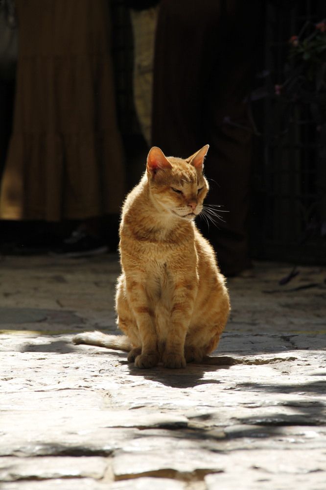 Photograph by Галина Гершман