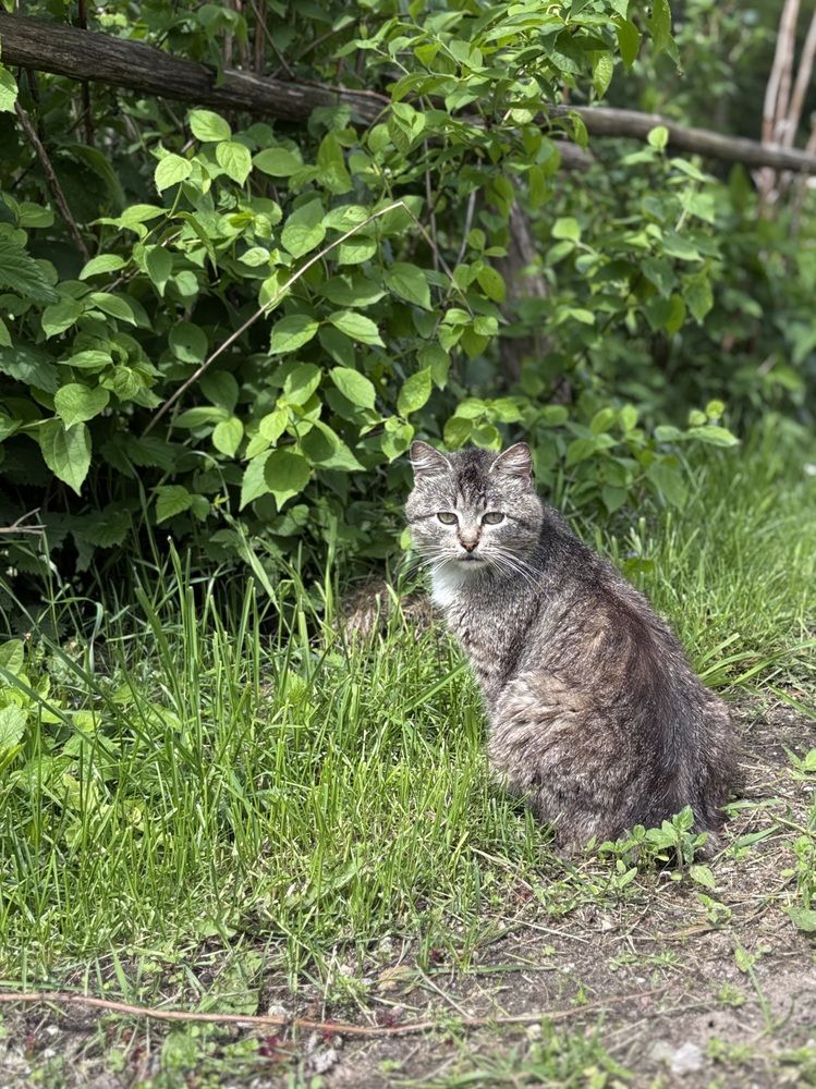 Photograph by Halina Mitsevich