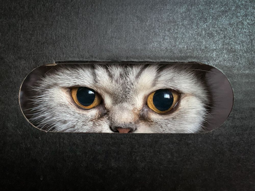 Photograph by Дмитрий Костяков