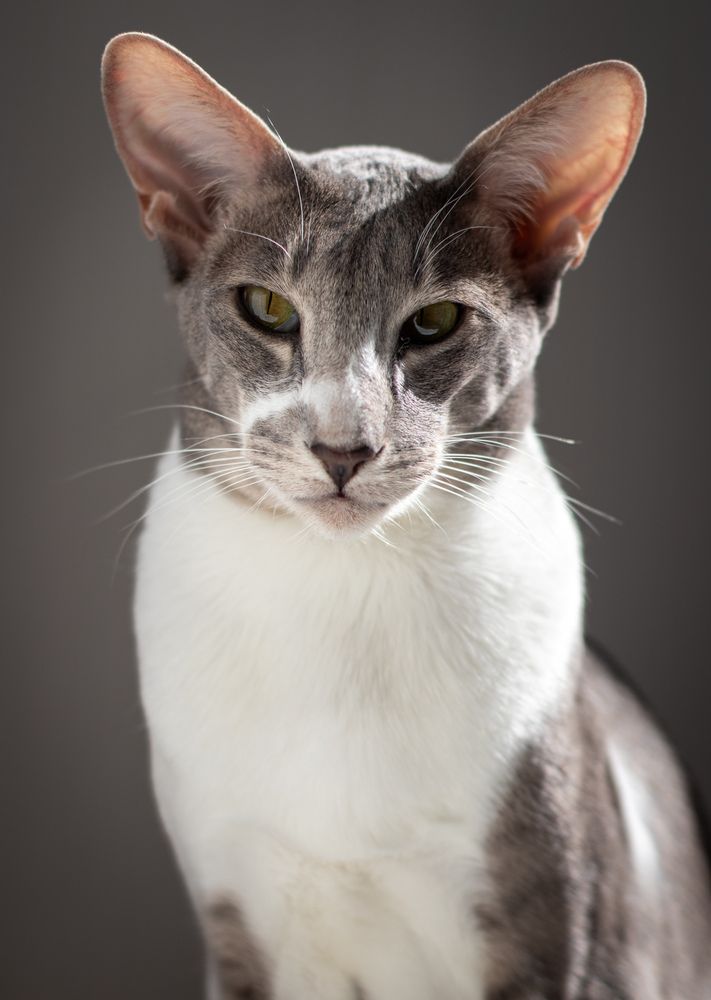 Photograph by Дмитрий Костяков