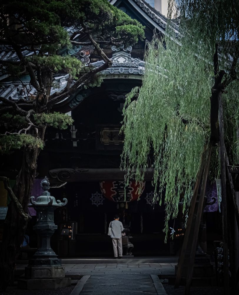 Photograph by Suto Aya