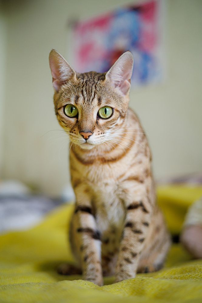 Photograph by Швило Светлана