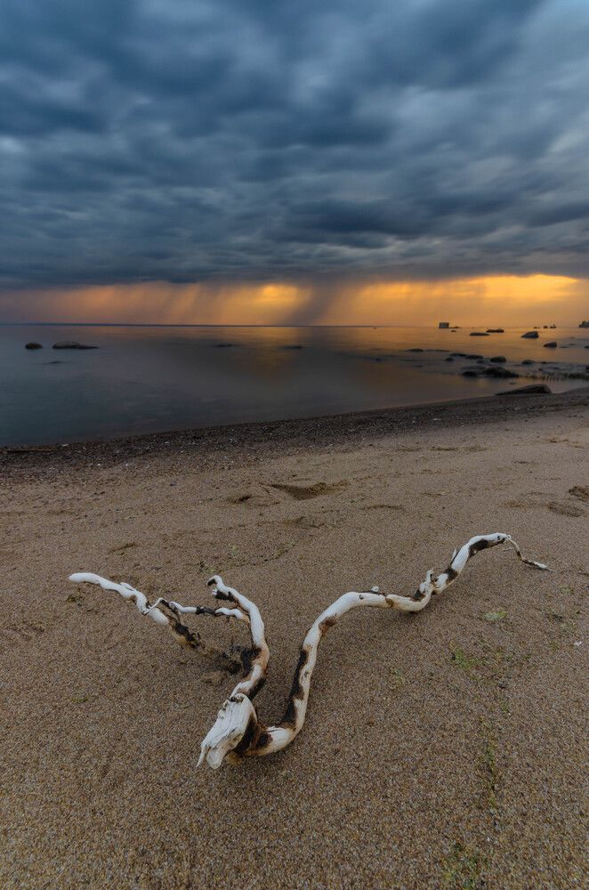 Photograph by Alexey S